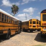 bus, school, school bus, education, transportation, elementary, yellow, safety, vehicle, transport, child, travel, stop, young, student, children, people, bus stop, public, driving school, texas, brown school, brown travel, brown education, brown safety, brown bus, brown stop, school bus, school bus, school bus, school bus, school bus